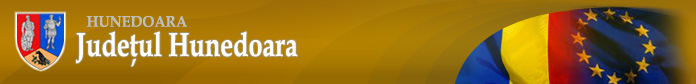 Totul despre Hunedoara