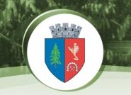 Primaria Municipiului Brad